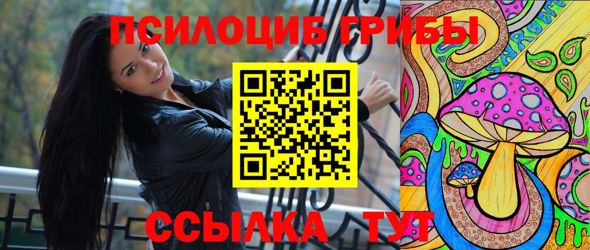 Псилоцибиновые грибы Psilocybe Дубна