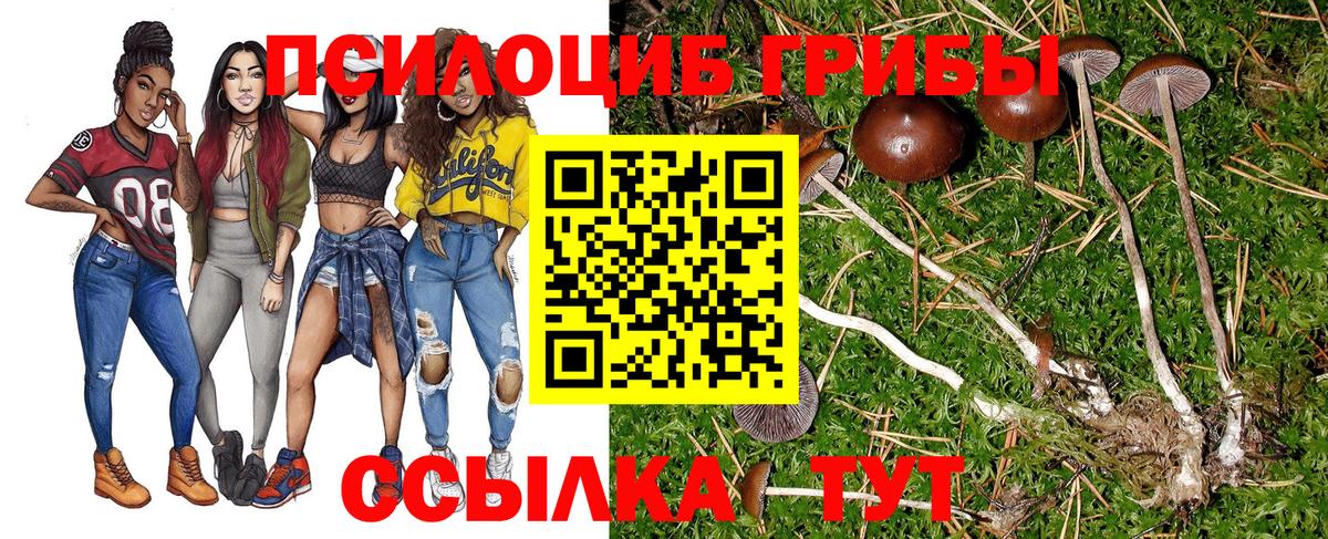 Галлюциногенные грибы Cubensis  Вход с VPN  Дубна 